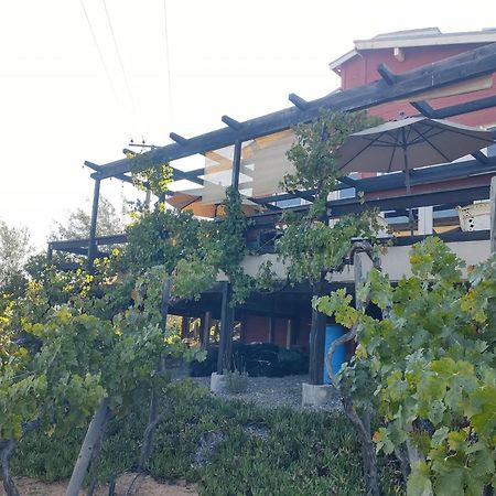 Rancho Los Amigos Cabin Lodge Ensenada Kültér fotó