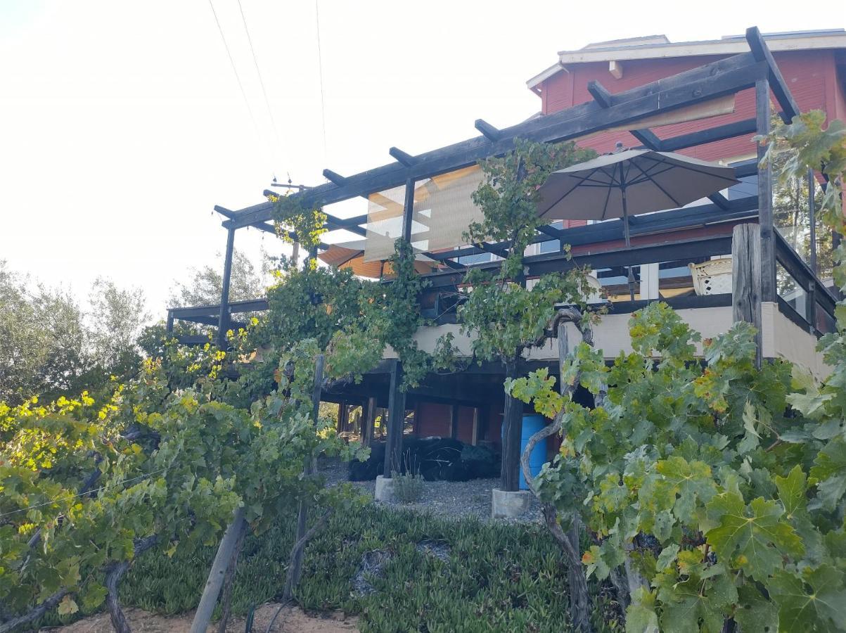 Rancho Los Amigos Cabin Lodge Ensenada Kültér fotó