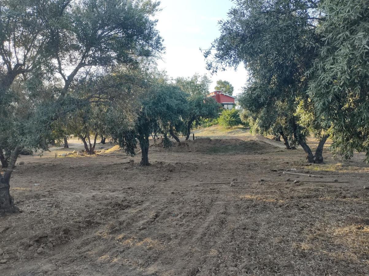 Rancho Los Amigos Cabin Lodge Ensenada Kültér fotó