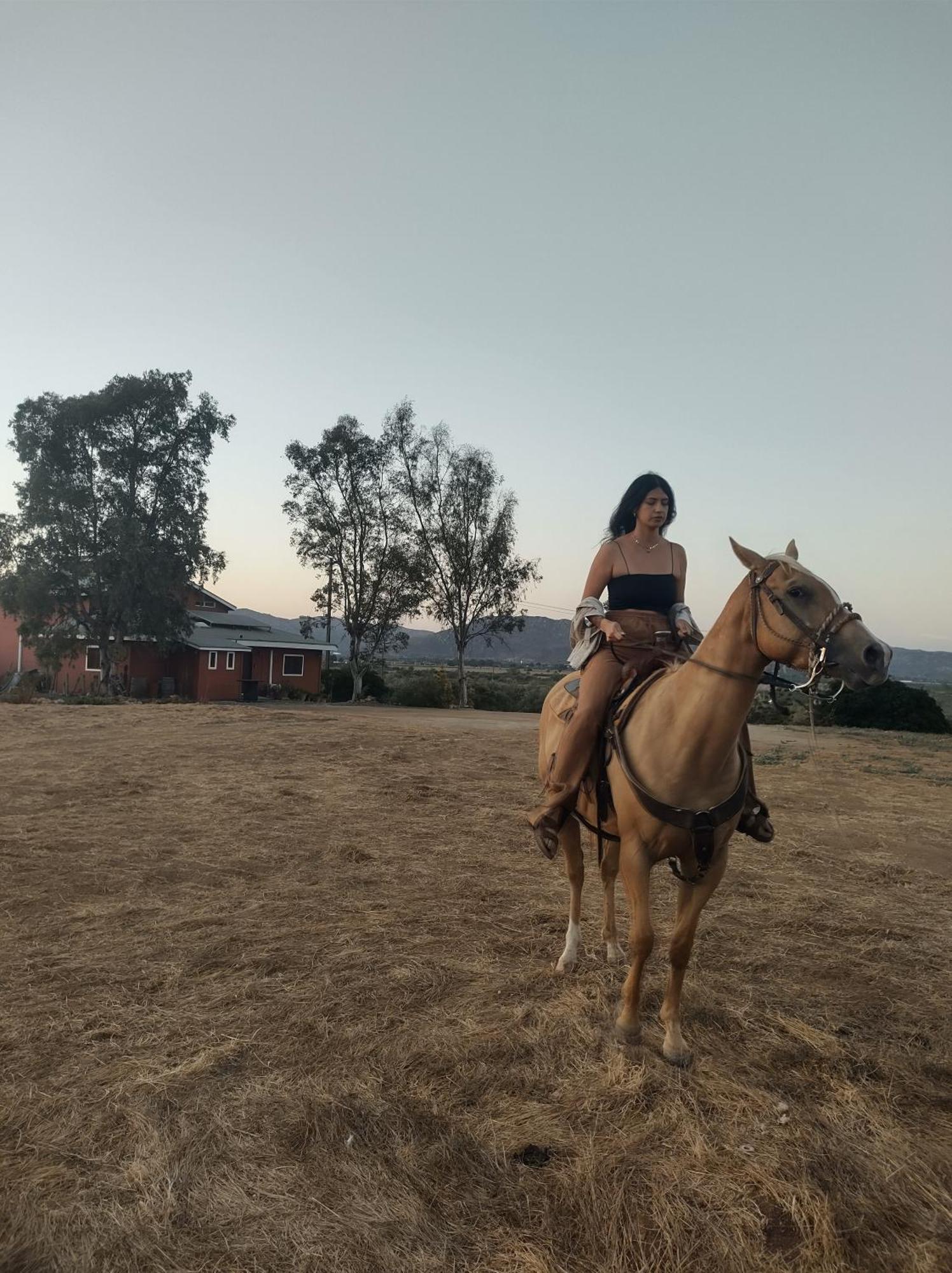 Rancho Los Amigos Cabin Lodge Ensenada Kültér fotó